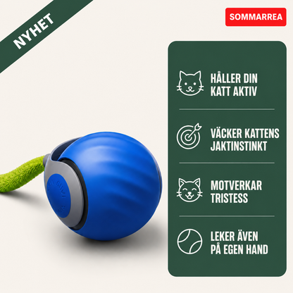 Kattens Fartboll
