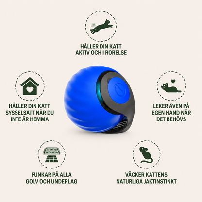 Kattens Fartboll