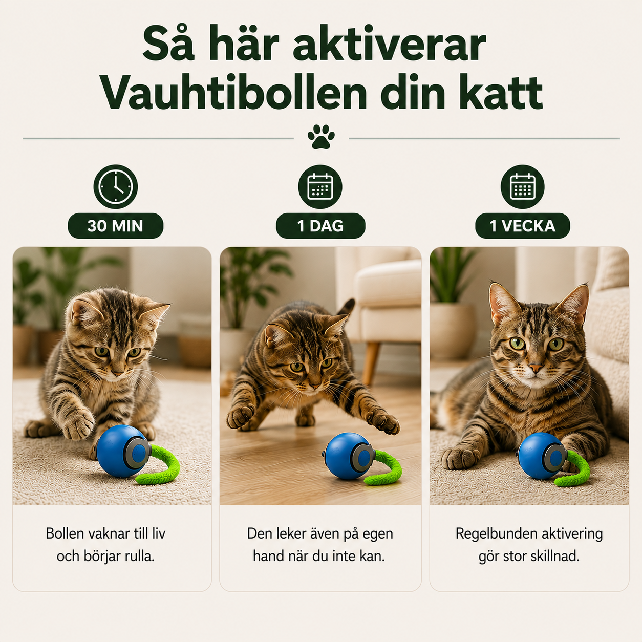 Kattens Fartboll