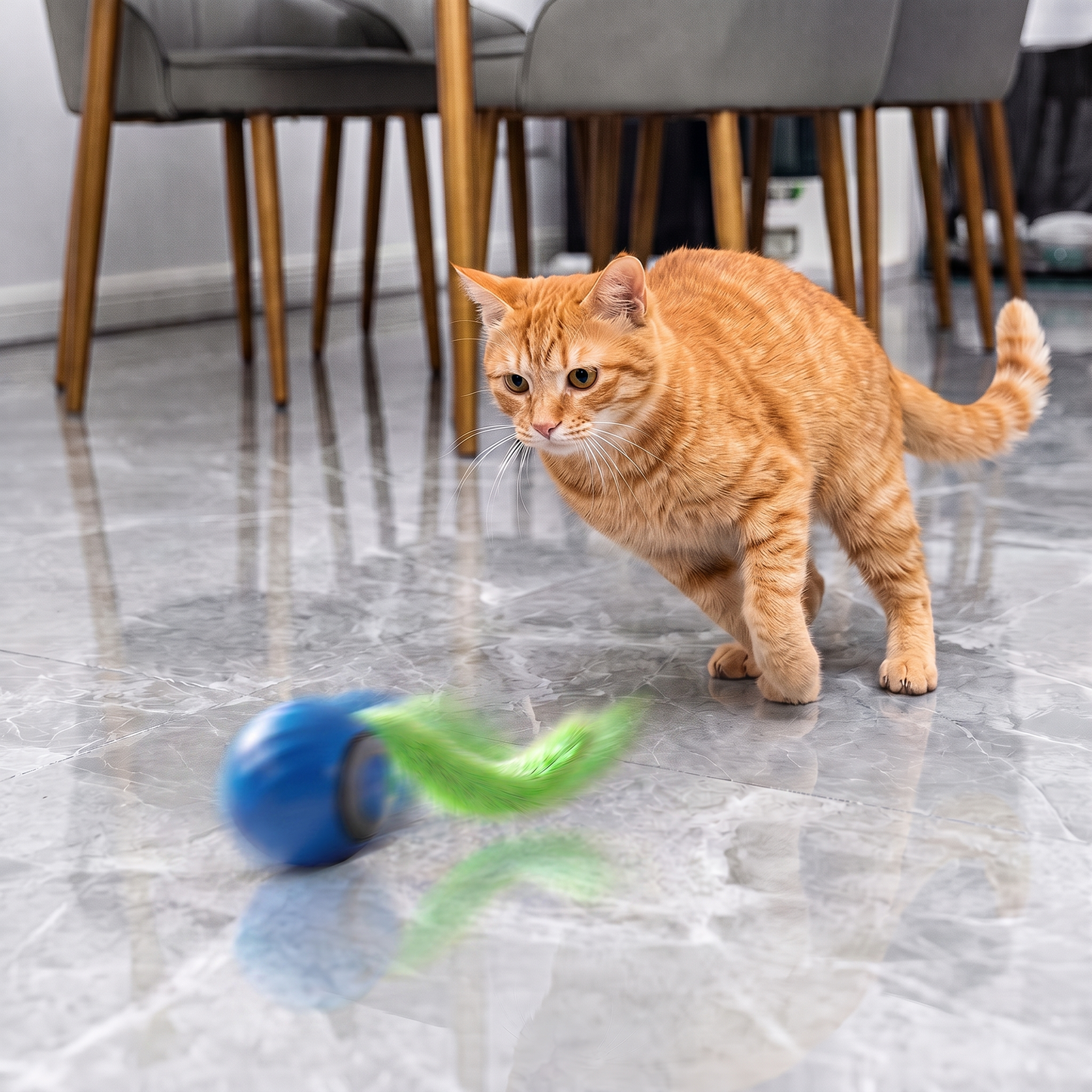 Kattens Fartboll